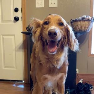 Meet your Posher, Brady